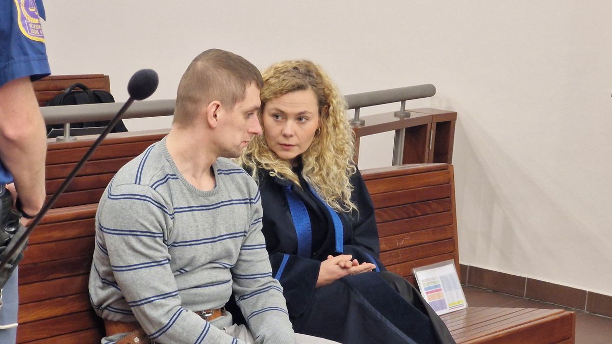 Za trýznivou smrt přítelkyně ve Višňové na Frýdlantsku dostal muž 11letý trest